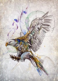 Image 3 of PUZZLE 1000 pièces « Aigle »