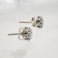 Image 2 of Mini Chrysanthemum Studs 