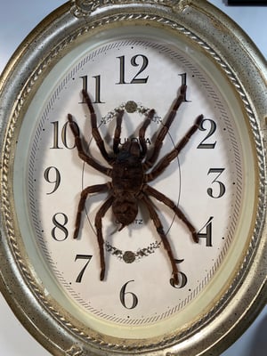 Image of Spider Clock