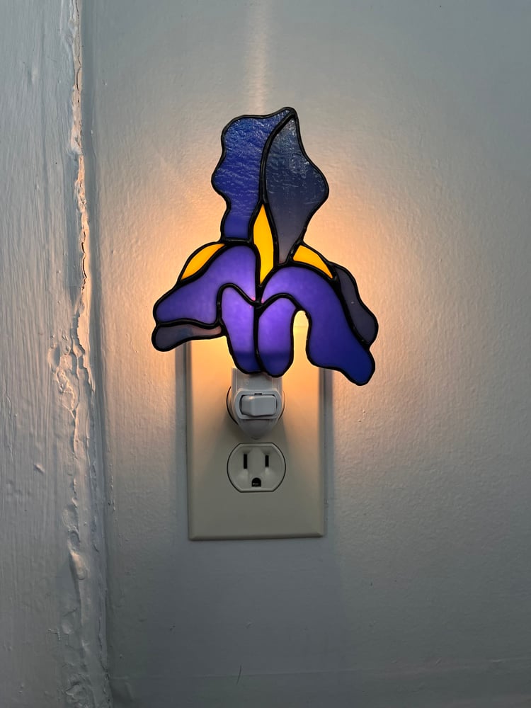 Image of Blue Iris Nightlight