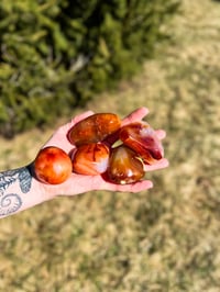 Image 4 of Carnelian Palm Stone