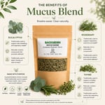 Mucus Cleanse Support Herbal Tea Blend