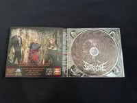 Image 3 of GUTRICYDE - “Gutricyde”