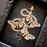 Image 2 of Snake skeleton with Brahmin moths