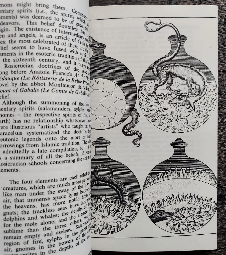 The Alchemists, by M. Caron & S, Hutin