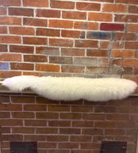 Image 3 of ALTOCUMULUS CLOUD