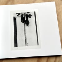 Image 3 of Guido Guidi - Album, 1969-82 (Signed)