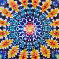 Image 2 of where it's at