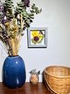 Calendula, Nasturtium, Indian Blanket, Euonymus Wildflower Art In 6" X 6" Shadow Box (Item# 202207S)