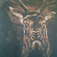 Image 2 of The Watcher 2