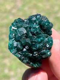 Image 13 of Dioptase Specimen #2539