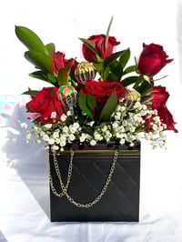 Image 5 of Luna Amour