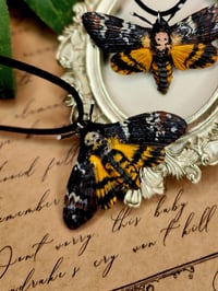 Image 3 of Wisior Zmierzchnica Trupia Główka 💀🦋