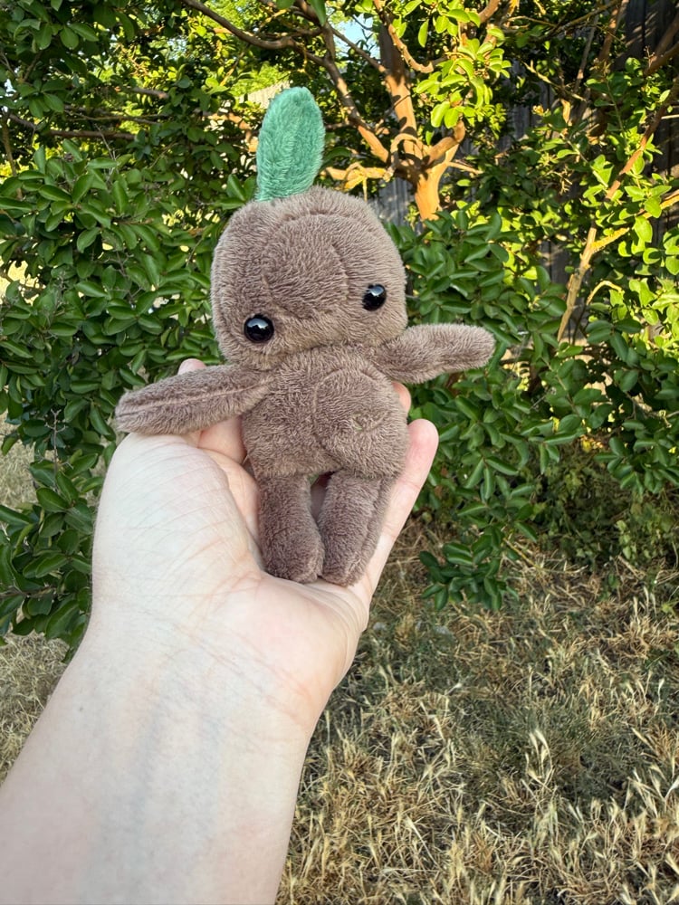 Image of baby tree