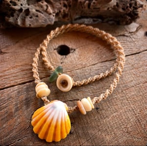 Image of Hawaiian sunrise shell necklace with golden pukas and a locking seaglass clasp