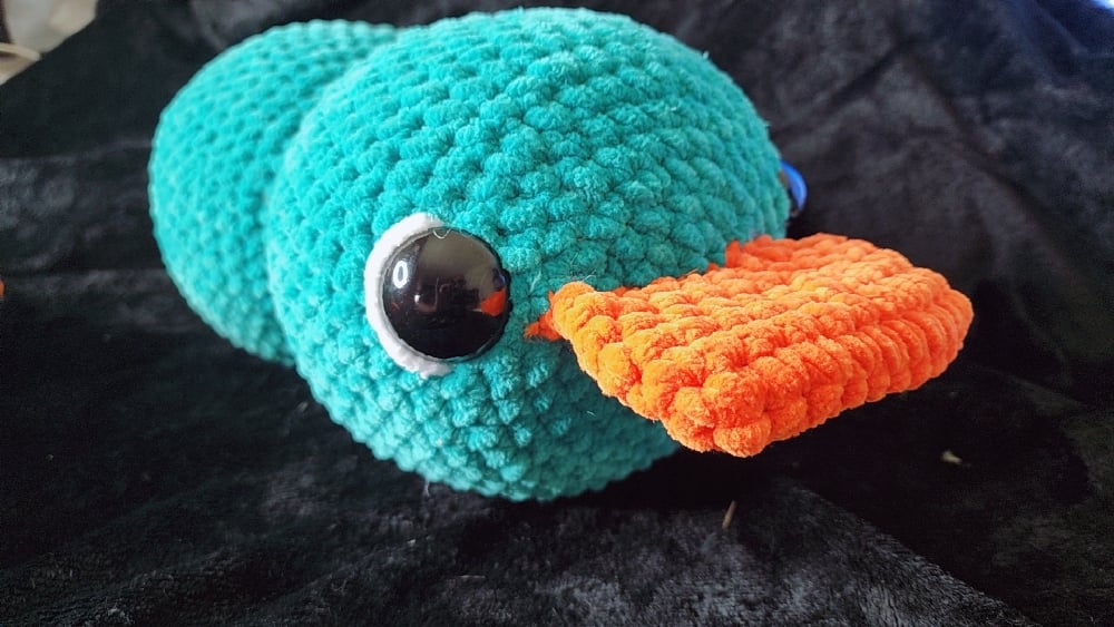 Image of Platypus 