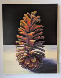 Image 4 of Long Leaf Pine Cone #2