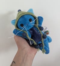 Image 2 of Bramble the blackberry kitten 