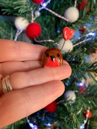 Image 3 of Mini Robins