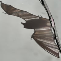 Image 4 of Pink Flying Bat