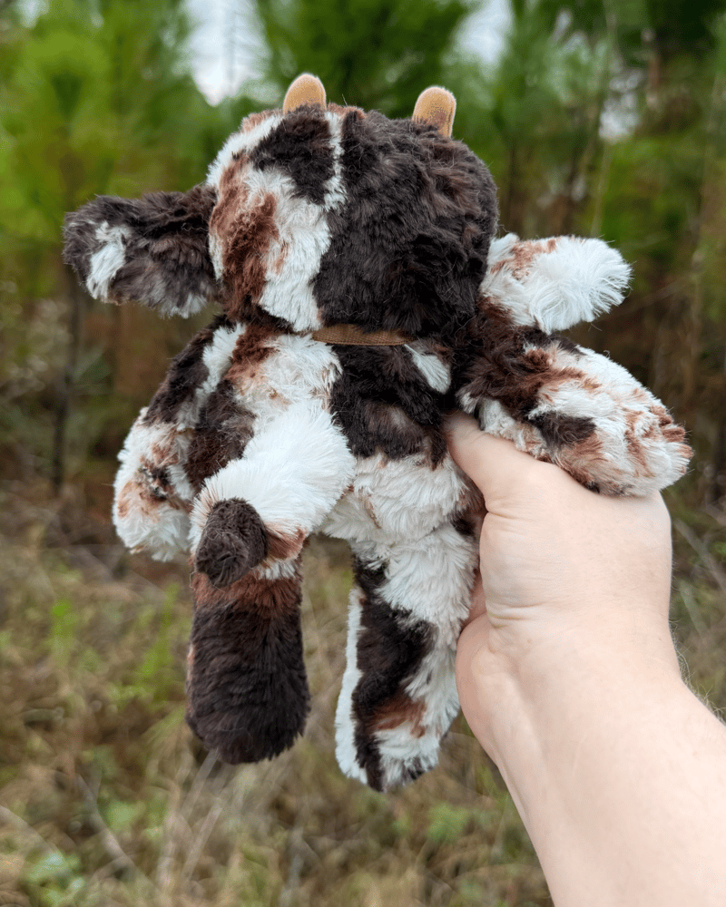 Image of Tiramisu Chocolate Moo Baby Noodle