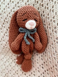 Image 1 of Beck the Bunny