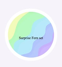 Image 1 of SHOP SMALL - SURPRISE FERN SET OFFER
