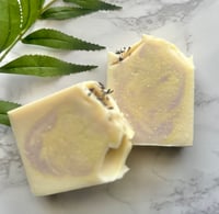 Image 1 of Lemon Lavender