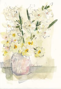 Primroses and narcissi 