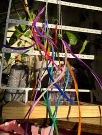 Image 5 of Colorful swirl cuff earrings 