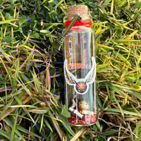Image 8 of HP Quidditch Teams - Message in a Bottle