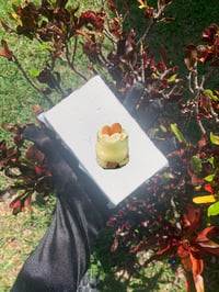 4oz Banana Pudding Brick 