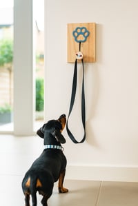 Image 1 of Colgador PAW