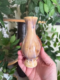 Image 9 of Mushroom or Slug