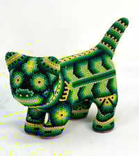 Image 1 of Cat Green