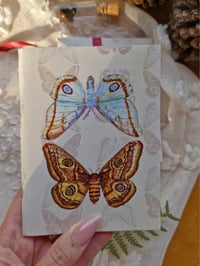 Image 3 of The Moth Keeper’s Pocket Journal