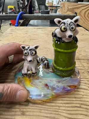 Image of Raccoons at the Park