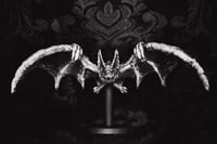 Image 2 of Vampire Bat