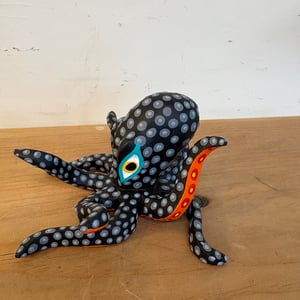 Image of Black beauty 