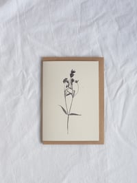Image 1 of Greater Stitchwort Greeting Card A6