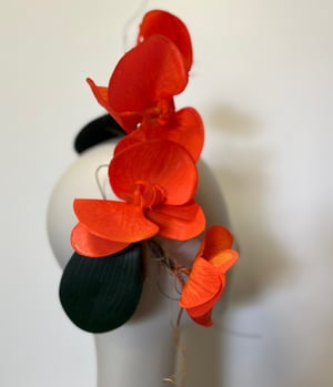 Image of Orange orchids