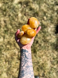Image 2 of Golden Healer Palm Stone