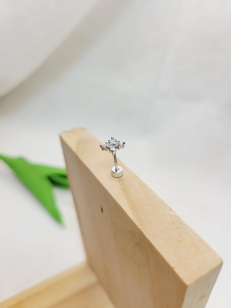 Image of Carlidge Earrings 