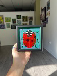Image 1 of Framed Mini Art: Ladybug 1