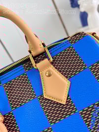 Image 17 of LV Leather Damier Bag