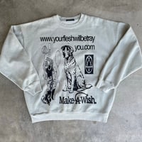 Image 1 of URL Crewneck sweater seafoam xl