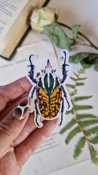 Image 6 of Insect Stickers Set of 5