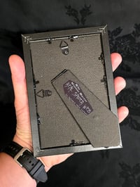 Image 4 of VINTAGE PINUP COLLECTION - with real preserved spider web - Beautiful statement piece -A