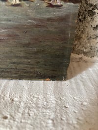 Image 2 of Huile sur plaque marine 
