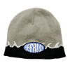 POLAR BEANIE
